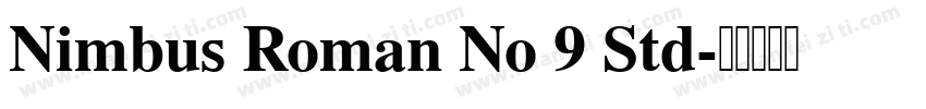 Nimbus Roman No 9 Std字体转换